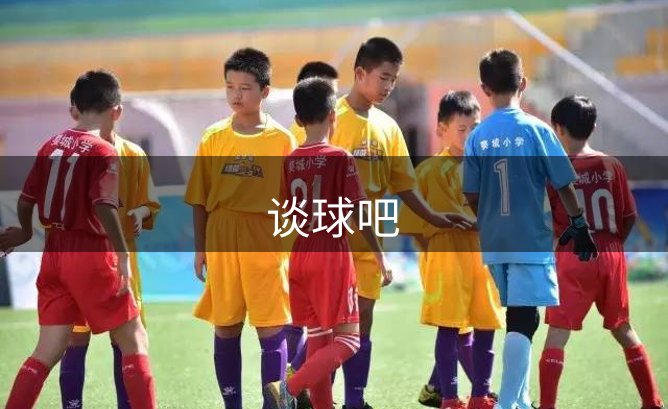 公司背景